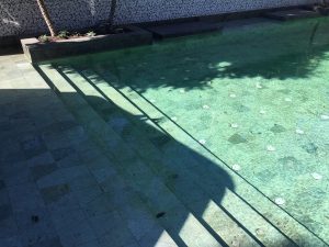 Stunning Green Sukabumi Stone at Sydney