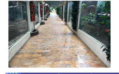 Lost In The Jungle, the Perfect Concept comes with Perfect Red Marble Floor Tile