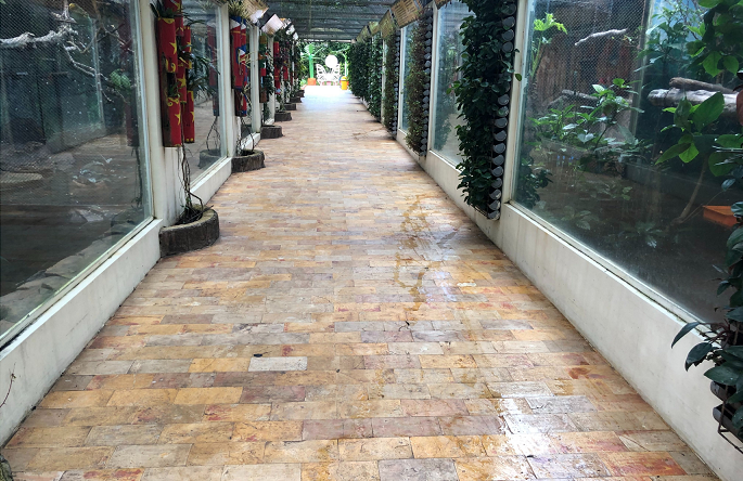 Lost In The Jungle, the Perfect Concept comes with Perfect Red Marble Floor Tile