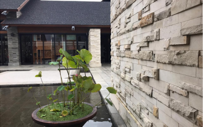 Stone Wall Cladding Price Update on June 2023