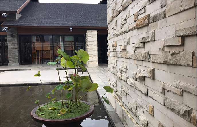 Stone Wall Cladding Price Update on June 2023