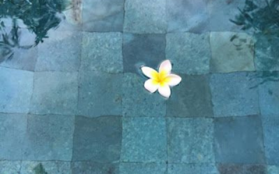 The Secret Behind See See Resort’s Stunning Pools: Bali Green Sukabumi Stone by Sandstonetiles